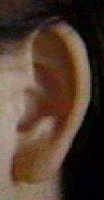  ear