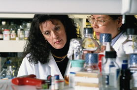 chemical lab
			
			 for 